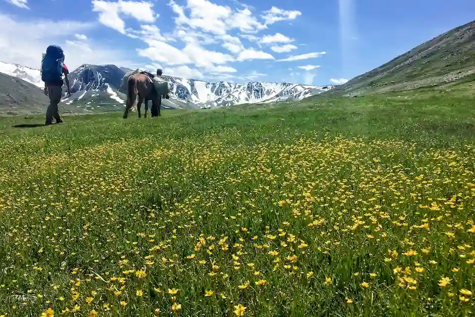 Altai Traverse: Trekking & Eagle Hunters