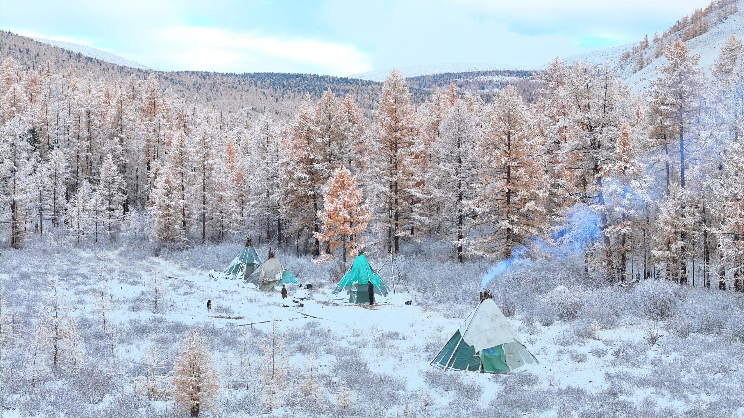 A Tsaatan reindeer herders' camp in snowy taiga forest