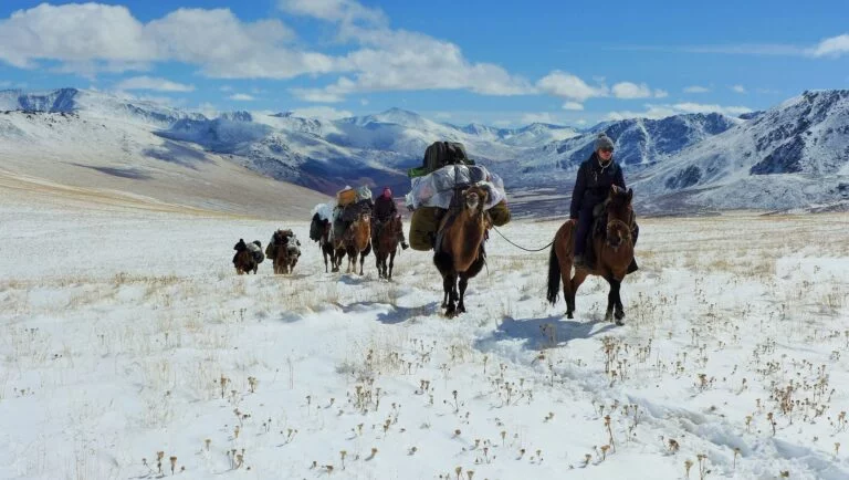 A rider leading a line of pack horses and riders across snowy steppe towards snow-covered Altai mountains
