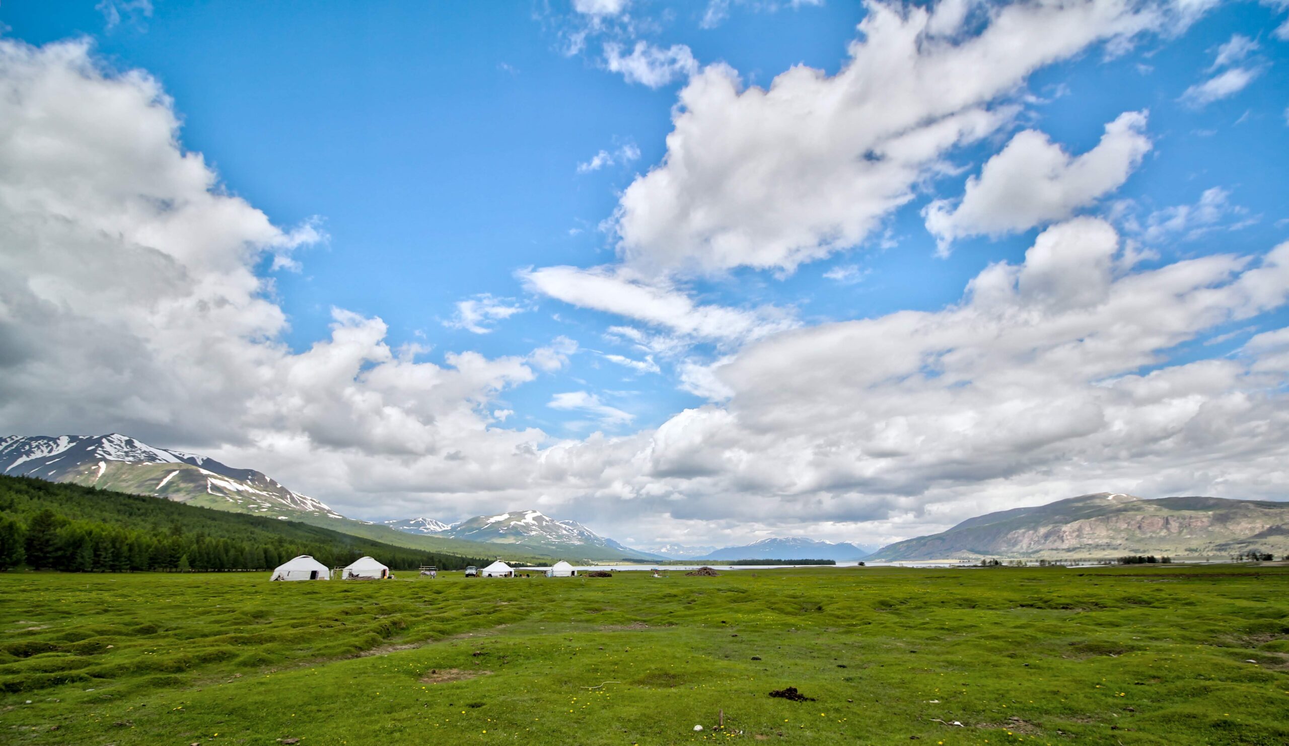White gers on a green Altai pasture beneath snow-capped peaks and a wide blue sky