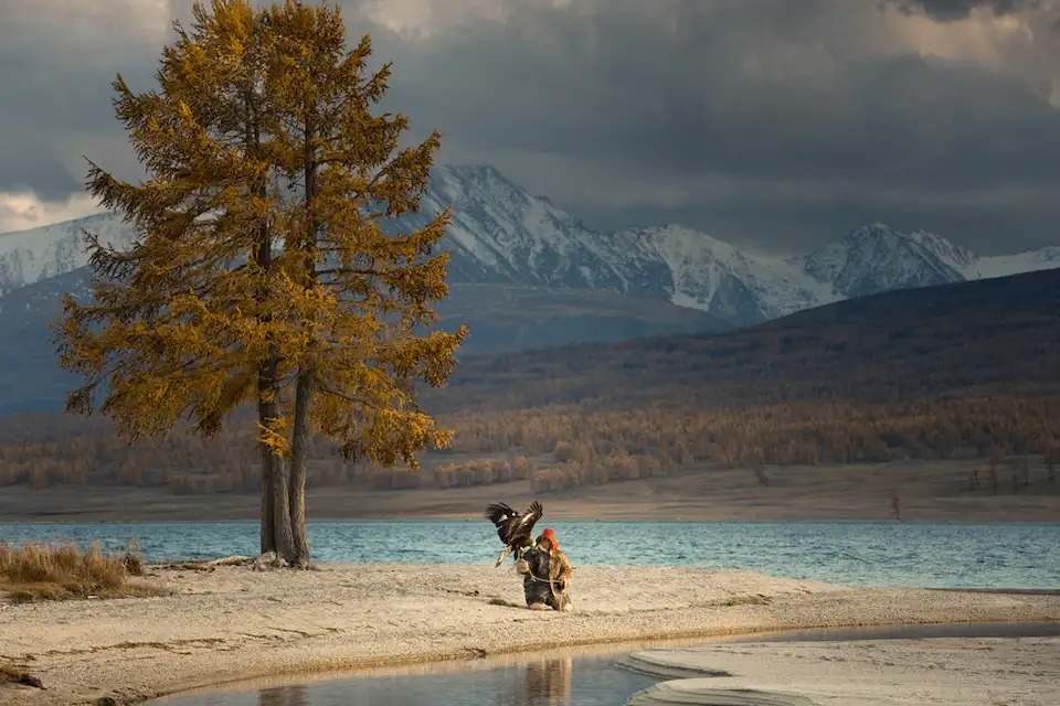 A Kazakh eagle hunter with his golden eagle beside an Altai lake in autumn