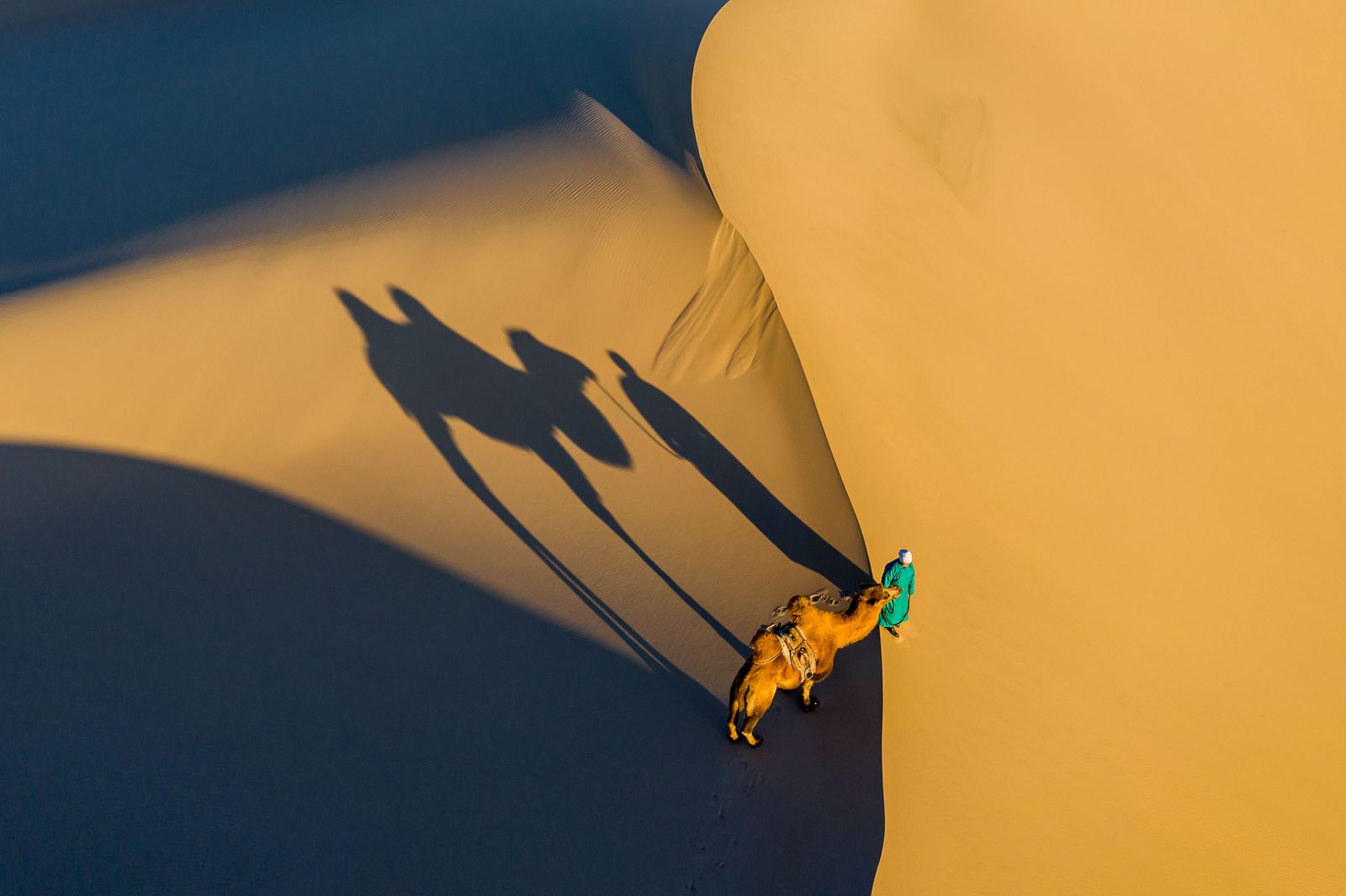 A camel and rider crossing sand dunes in the Gobi Desert