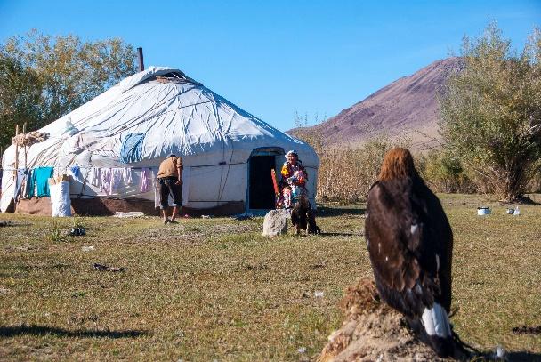 A golden eagle perched on a mound in the foreground, looking towards a white Kazakh ger where a family sits outside, with a bare mountain behind