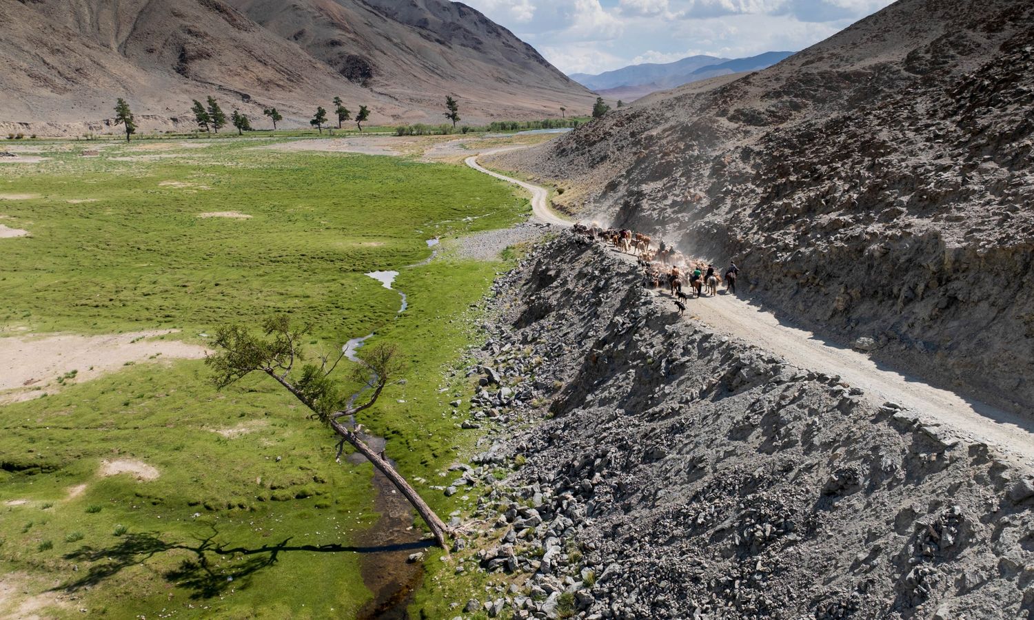 Herders on horseback driving their animals along a mountain track beside a green river valley