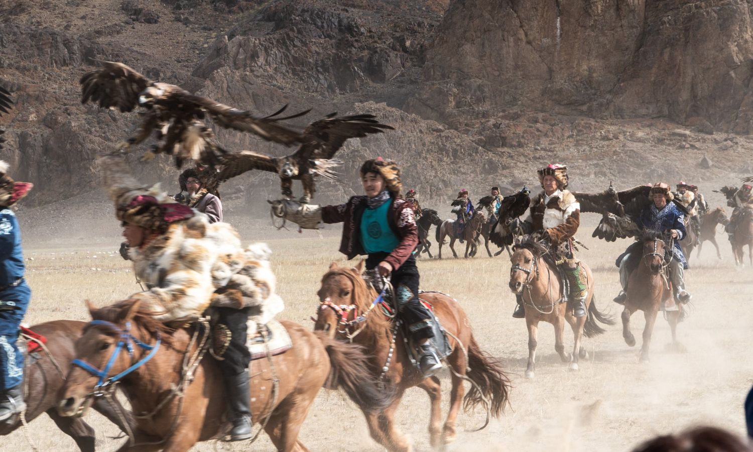Golden eagle landing on its hunter’s arm during a competition at the Golden Eagle Festival