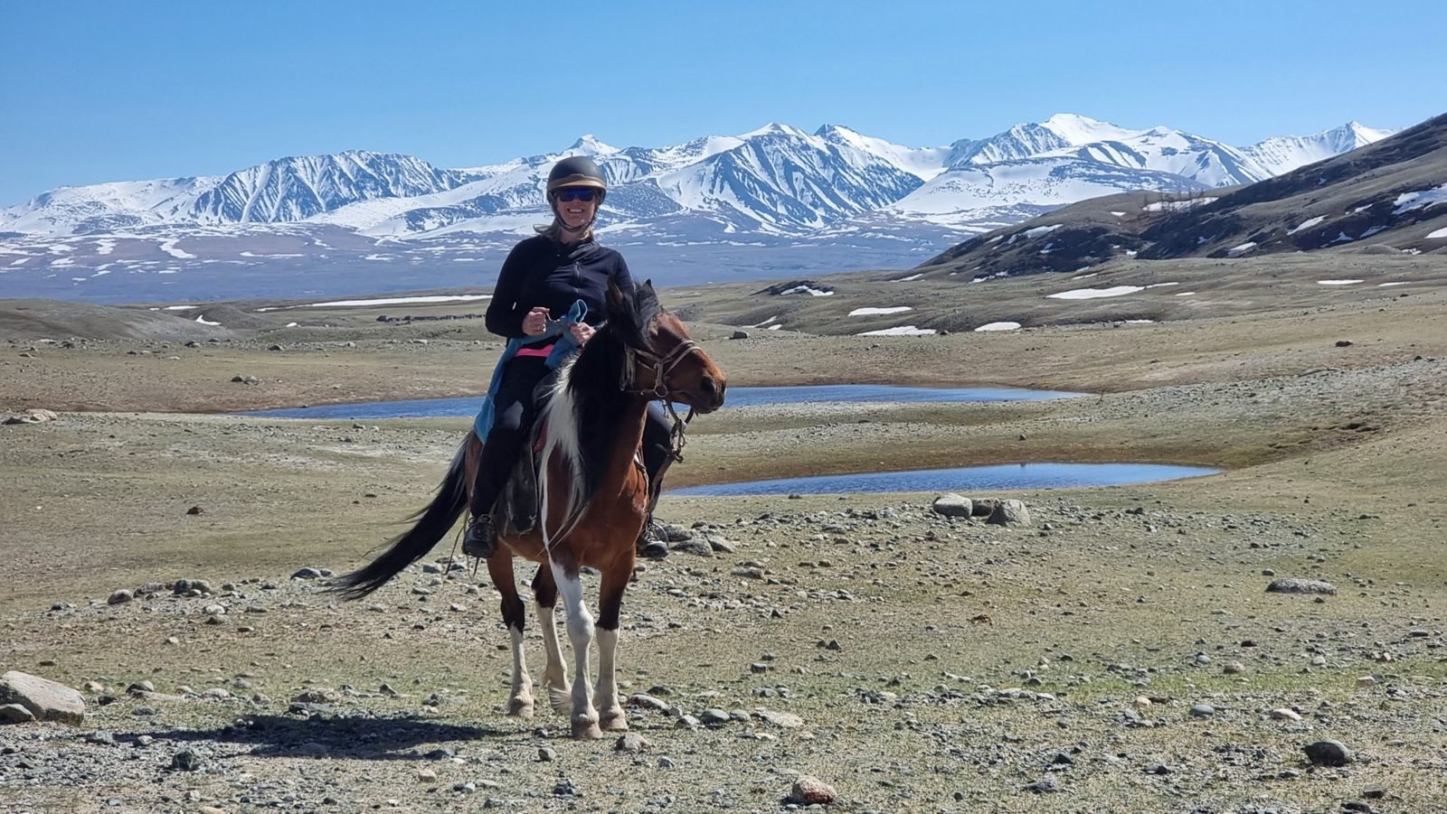 A guest in a riding helmet on a brown-and-white horse on stony steppe below snow-covered Altai mountains